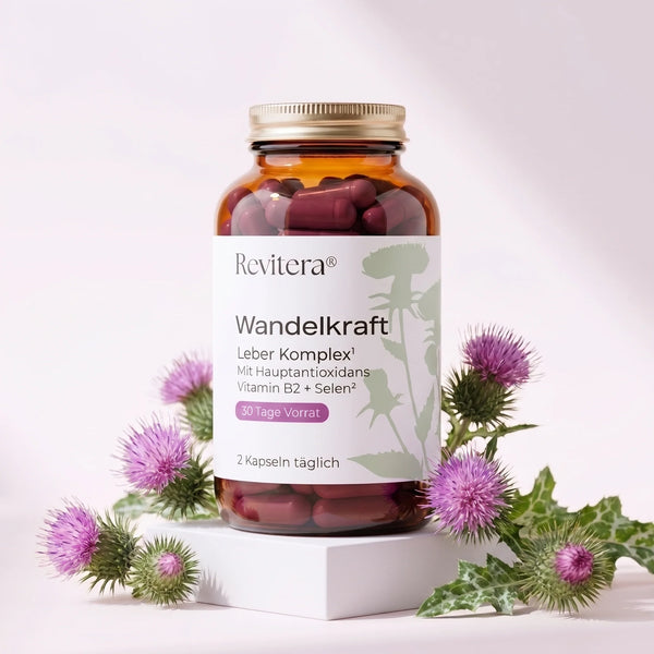 Wandelkraft