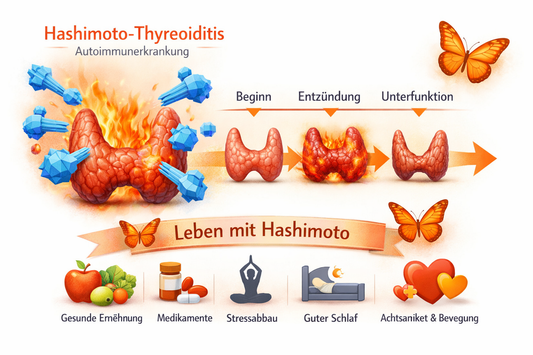 Hashimoto-Thyreoiditis: Krankheitsbild, Diagnostik und Standardtherapie