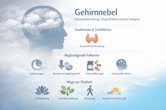 Kognitive Beeintraechtigung bei Hashimoto-Thyreoiditis und Hypothyreose: Mechanismen und Differentialdiagnostik