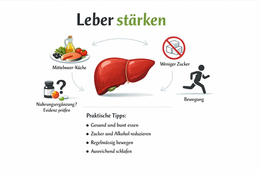 Leber und Schilddrüse: physiologische Verbindungen und Lebensstil-Faktoren
