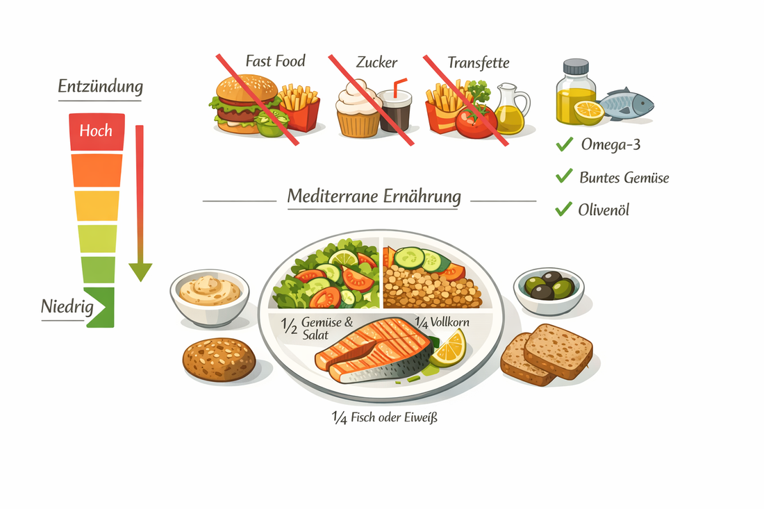 Entzündung, Ernährung und Hashimoto-Thyreoiditis: Studienlage und Einordnung