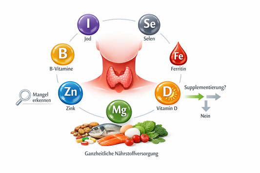Mikronährstoffe und die Schilddrüse: physiologische Rollen und Studienlage im Überblick
