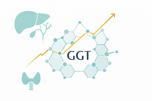 Erhöhte gamma-Glutamyl-Transferase — Bedeutung, Ursachen und diagnostische Einordnung