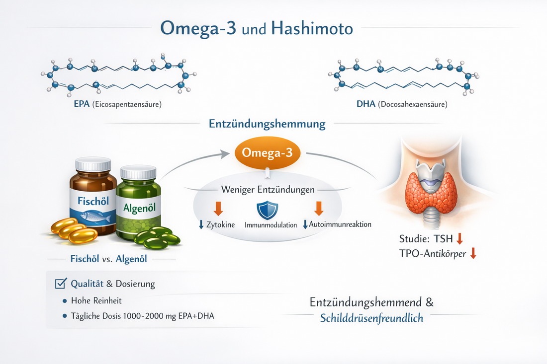 Omega-3-Fettsaeuren EPA und DHA: physiologische Einordnung, zugelassene Health Claims und Studienlage bei autoimmuner Thyreoiditis