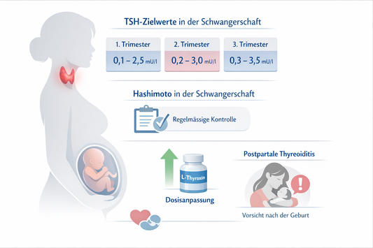 Schilddrüse und Schwangerschaft: Physiologie, Leitlinien und Studienlage