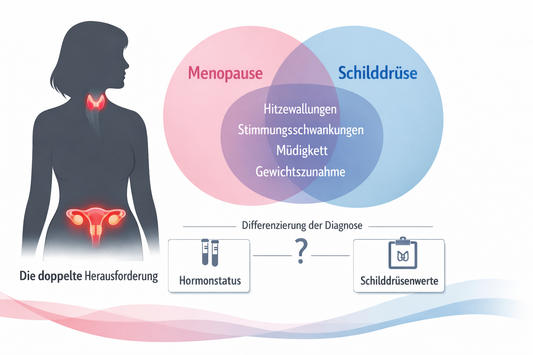 Schilddrüse in den Wechseljahren: Symptomüberlappung, Diagnostik und besondere Konstellationen