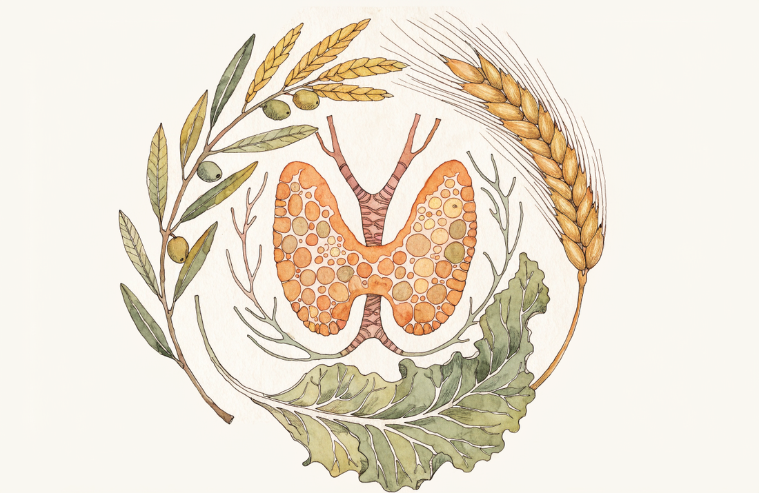 Ernährung bei Hashimoto-Thyreoiditis: Studienlage und Einordnung