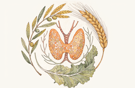 Ernährung bei Hashimoto-Thyreoiditis: Studienlage und Einordnung