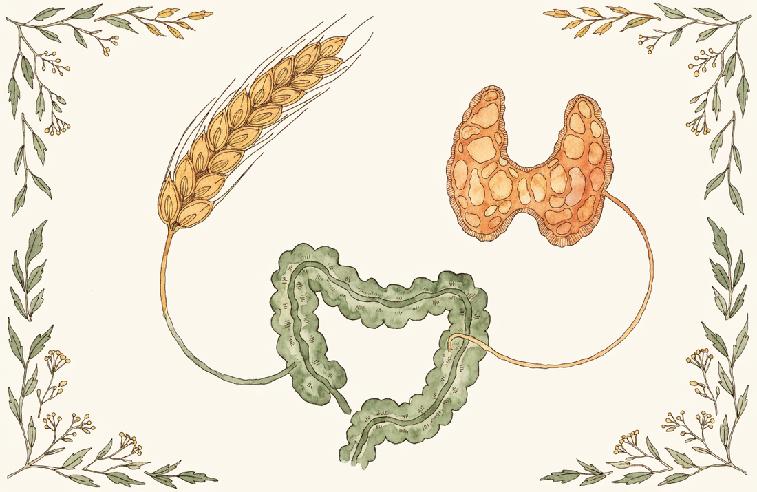 Gluten und Hashimoto-Thyreoiditis: Studienlage zur glutenfreien Ernährung