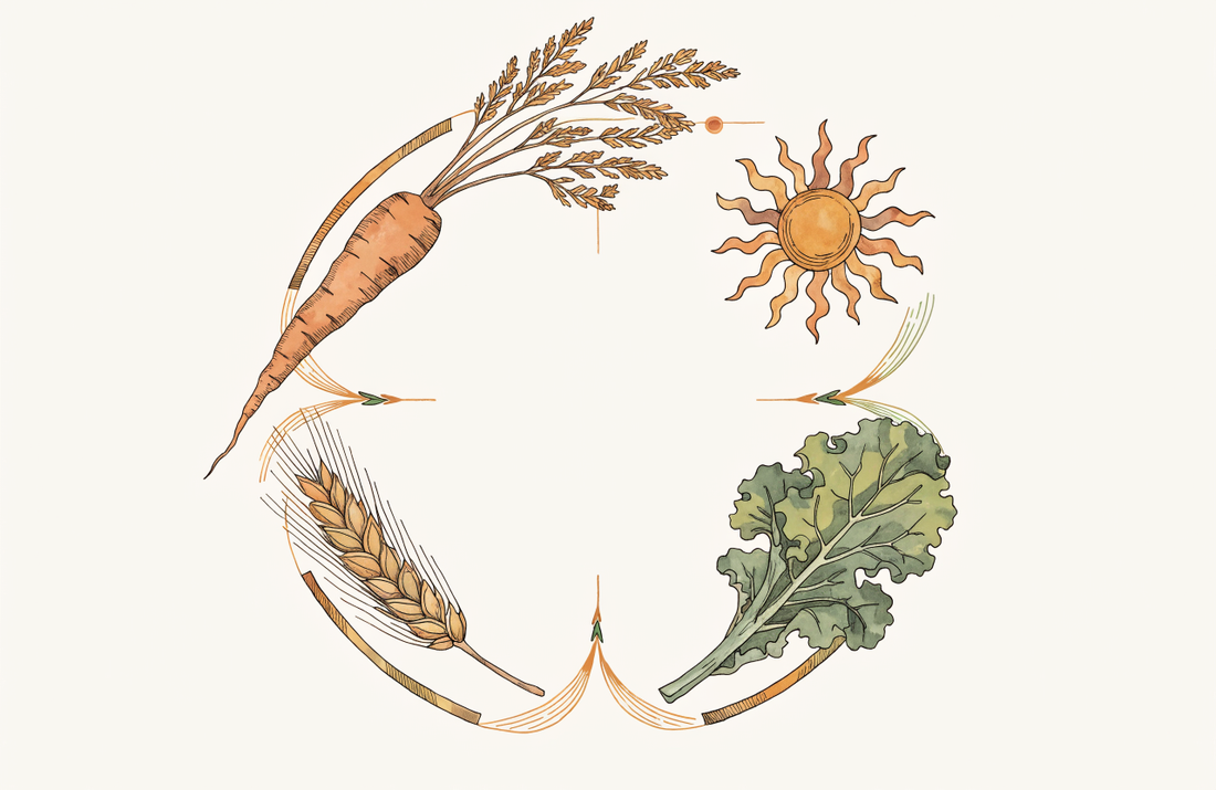 Vitamine: Essenzielle Mikronährstoffe für den Körper