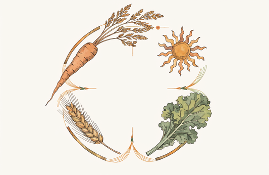 Vitamine: Essenzielle Mikronährstoffe für den Körper