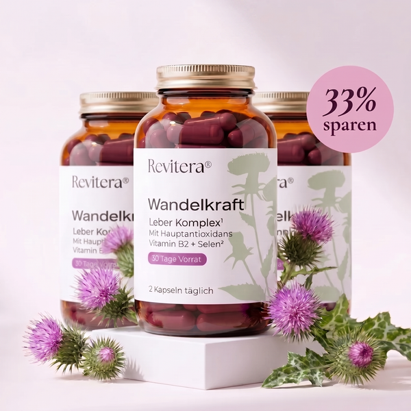 Wandelkraft 3er Set