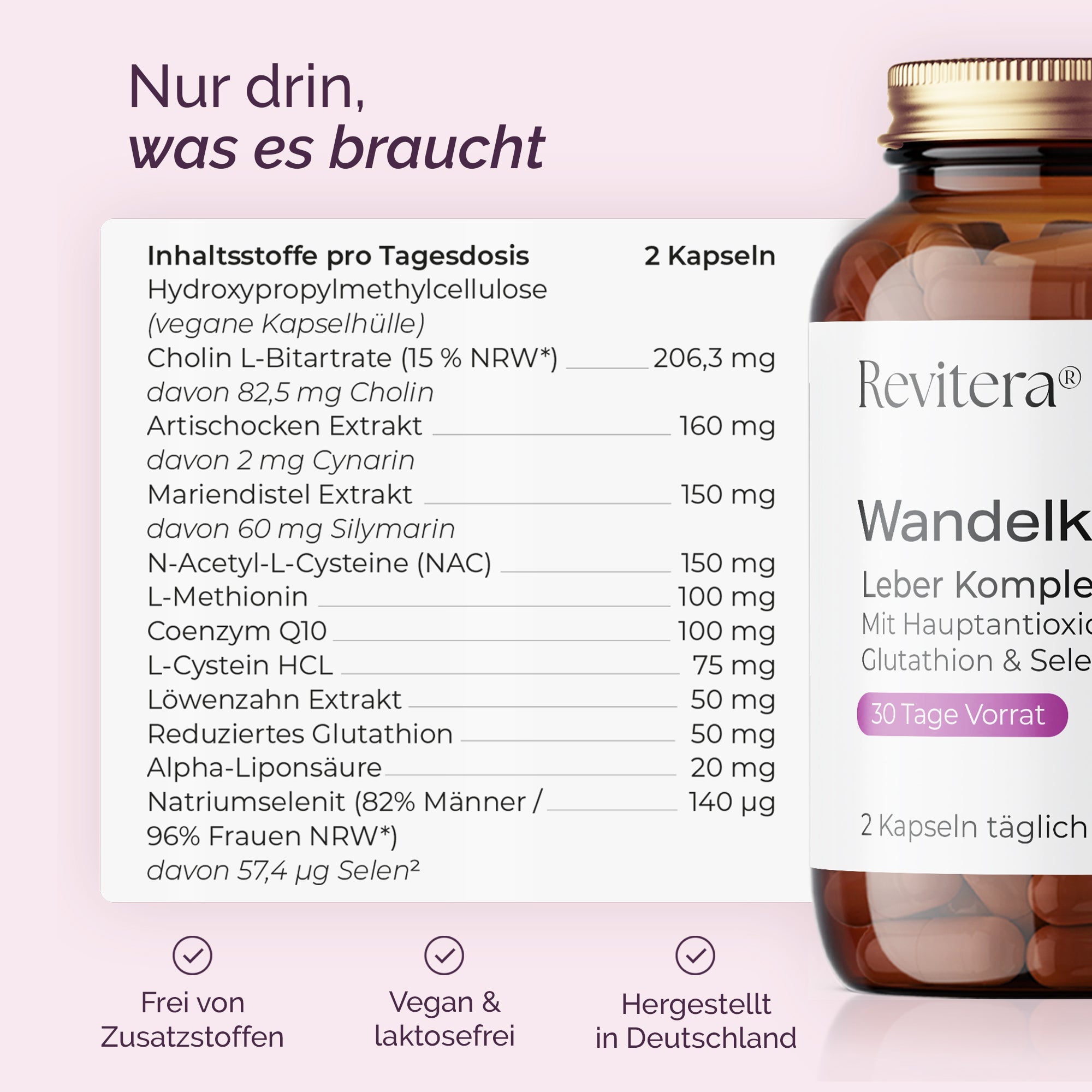 Wandelkraft - Revitera