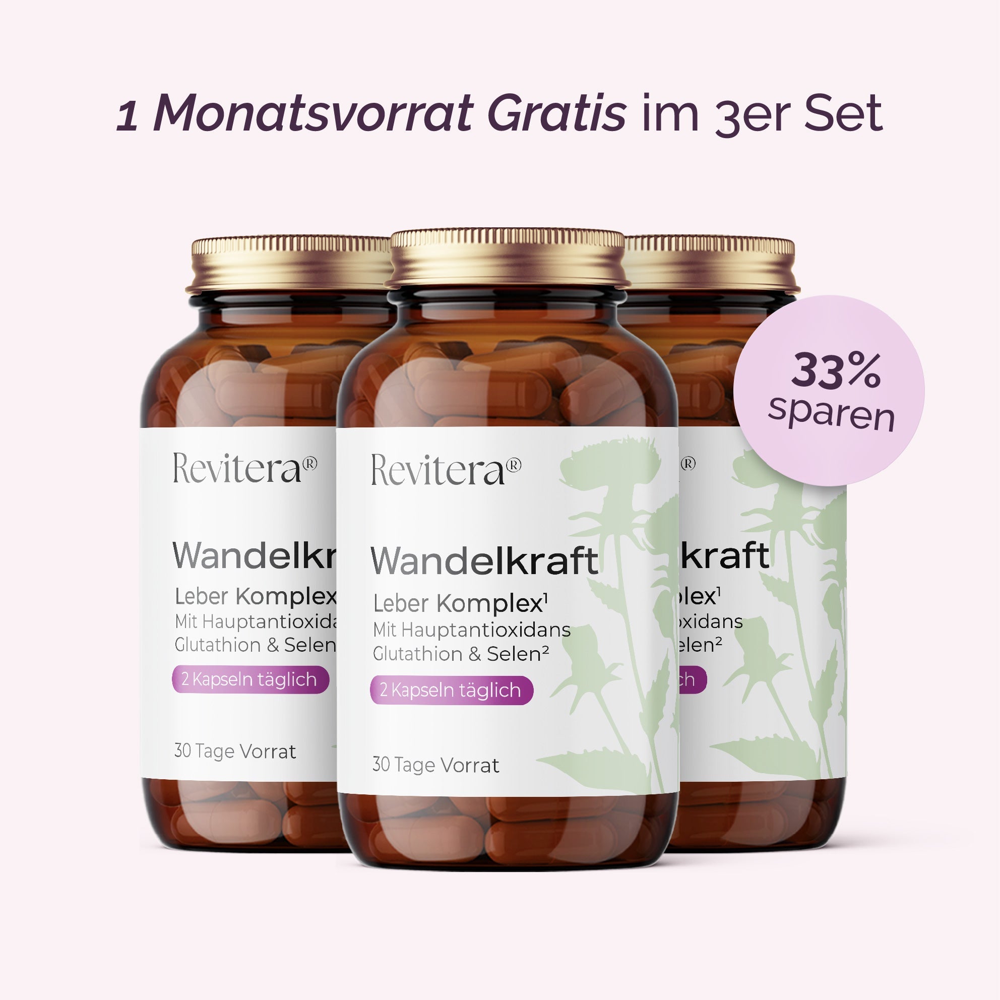 Wandelkraft - Revitera