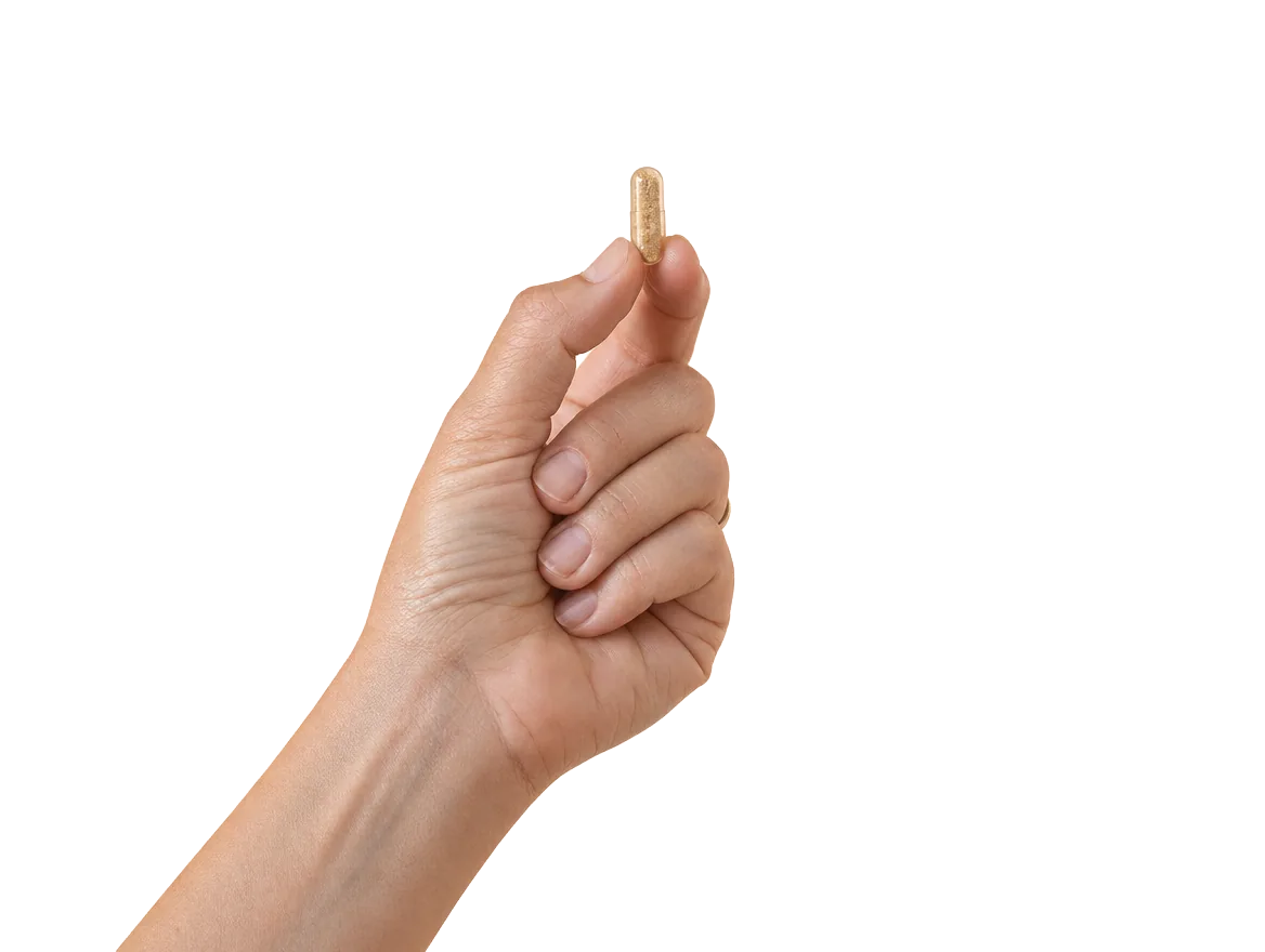 Hand hält transparente pflanzliche Kapsel mit sichtbarem Pflanzenpulver