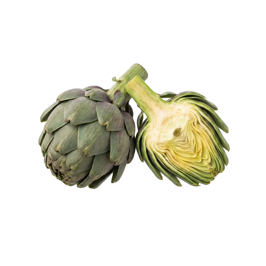 Artischocken-Extrakt — frische Artischocken (Cynara scolymus)